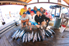 saltwater-gallery-33