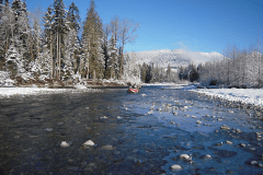 wildlife-gallery-12