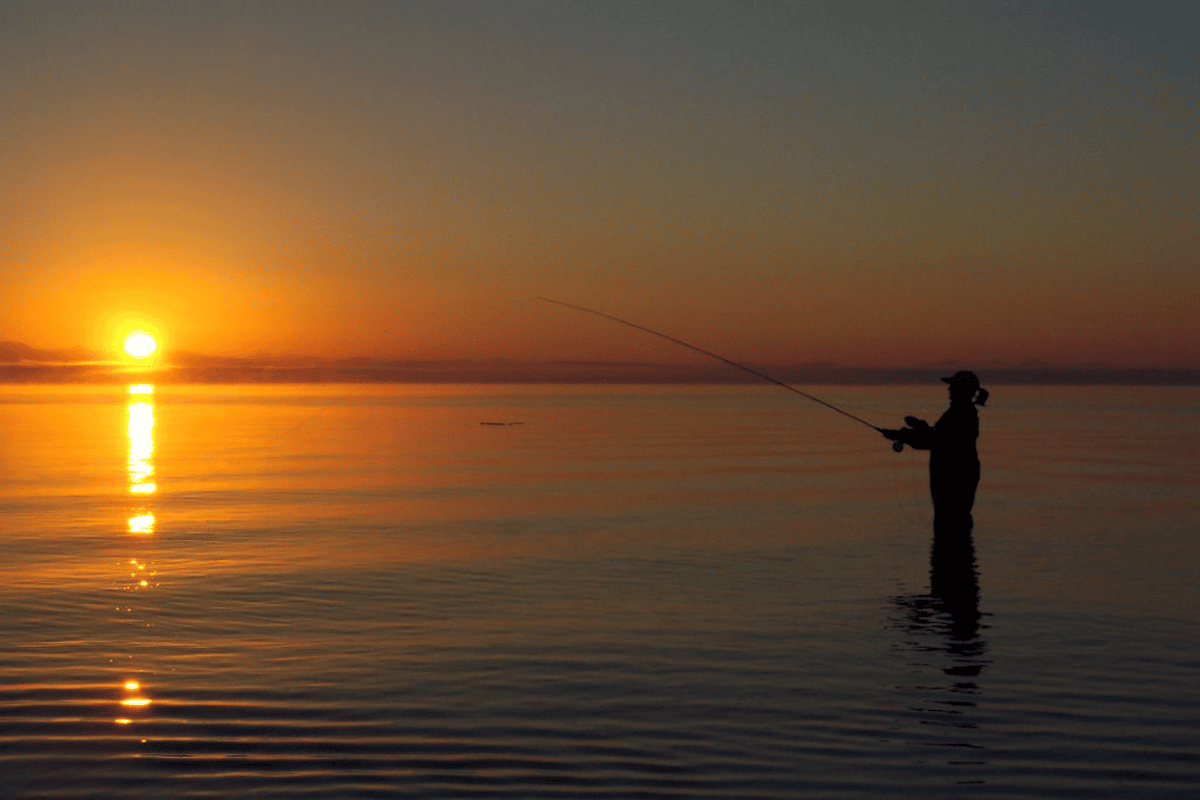 Steelhead Fishing Paradise